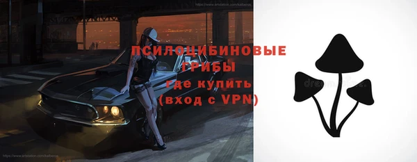 ешки Алексеевка